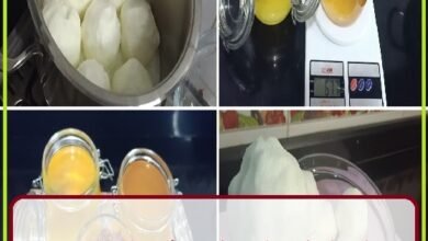 الدليل العملي في تصنيع السمن البلدي و تسويقه1238942682